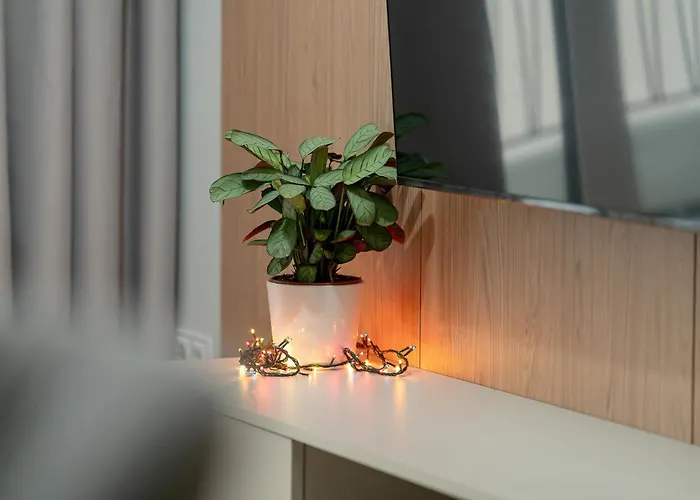 Apartment Sage By Kramm Posen